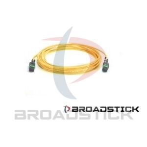 12 Fibers SM MTP to MTP