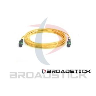 12 Fibers SM MTP to MTP