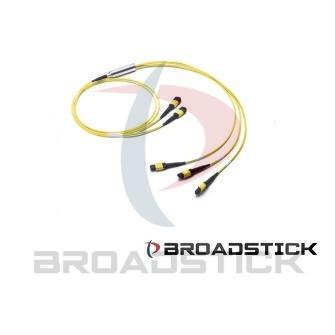 2xMTP-12 to 3xMTP-8 Single-mode