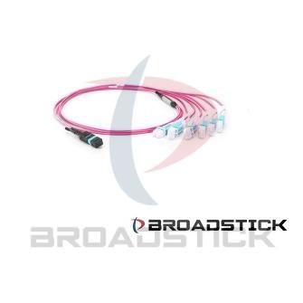 MTP to 12 LC Duplex OM4