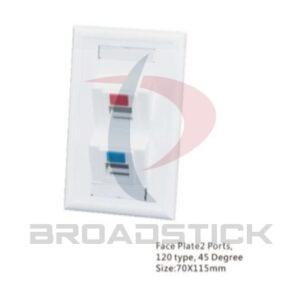 2-Port Horizontal Faceplates