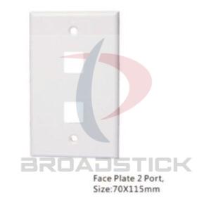 2-Port Angled Interactive Faceplate