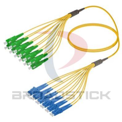 12 Fiber Trunk Cable