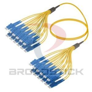 24 Fiber Trunk Cable